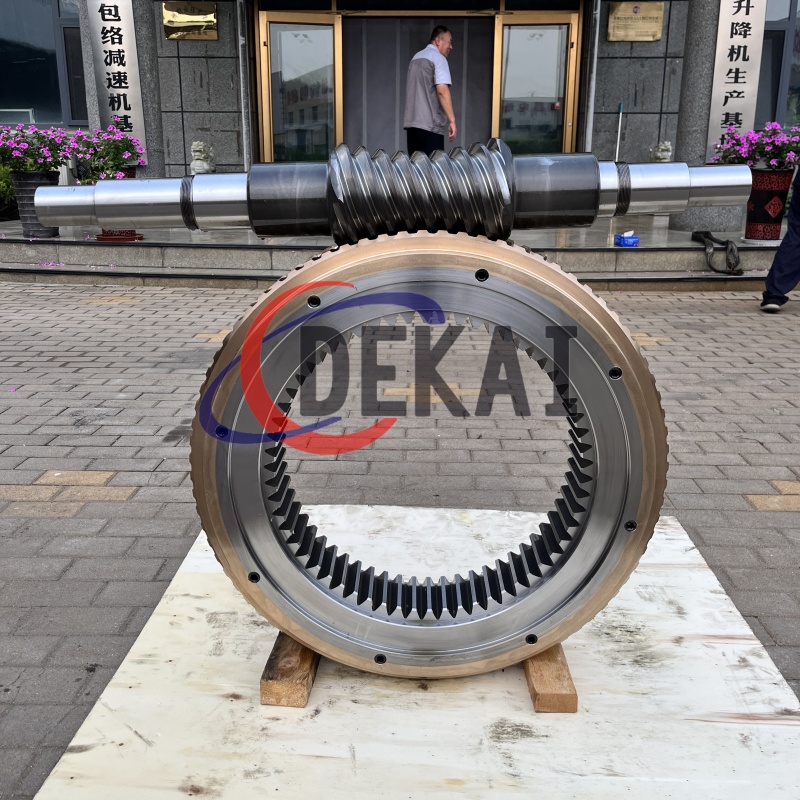 德凱定制多頭平面二次包絡(luò)蝸輪蝸桿副帶內(nèi)齒